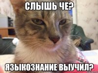 Слышь че? Языкознание выучил?