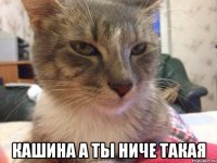  Кашина а ты ниче такая