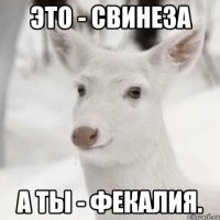 Это - свинеза А ты - фекалия.