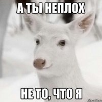 А ты неплох Не то, что я