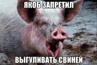 Якоб запретил выгуливать свиней