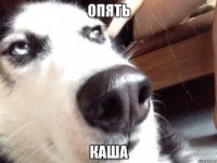 ОПЯТЬ КАША