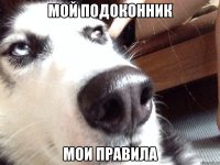 МОЙ ПОДОКОННИК МОИ ПРАВИЛА