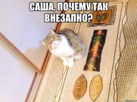 Саша, почему так внезапно? 