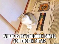  Where is my goddamn skate, you fuckin puta?