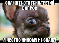 Скажите ответ на третий вопрос я честно никому не скажу