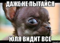 Даже не пытайся Юля видит все