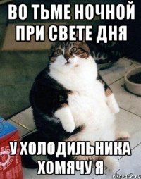 Во тьме ночной При свете дня У холодильника хомячу я
