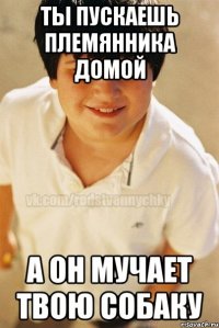 ты пускаешь племянника домой а он мучает твою собаку