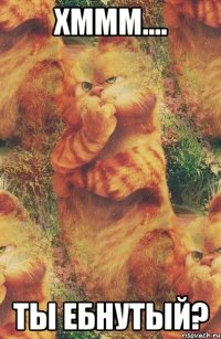 хммм.... Ты ебнутый?