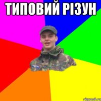 Типовий Різун 