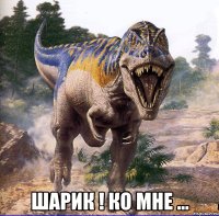  шарик ! ко мне ...
