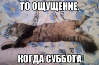 то ощущение, когда суббота