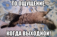 то ощущение, когда выходной!