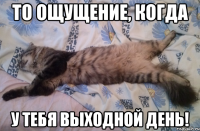 то ощущение, когда у тебя выходной день!