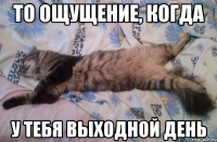 то ощущение, когда у тебя выходной день
