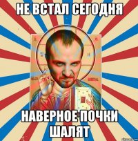 не встал сегодня наверное почки шалят