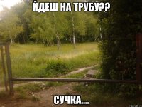 Йдеш на Трубу?? Сучка....
