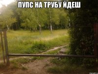 Пупс на трубу йдеш 