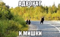 адвокат и мишки