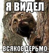 Я видел всякое дерьмо