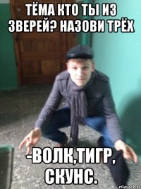 Тёма кто ты из зверей? Назови трёх -Волк,тигр, скунс.