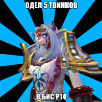 одел 5 твинков в бис р14