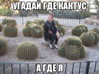 угадай где кактус а где я