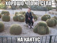 хорошо что не села на кактус