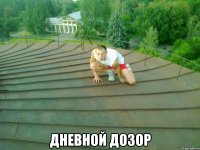  Дневной дозор