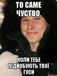 То саме чуство, коли тебе підйобують твої гуси
