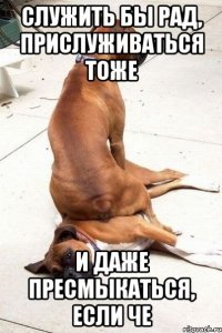 Служить бы рад, прислуживаться тоже и даже пресмыкаться, если че