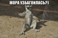 Жора узбагоилась?) 