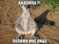 Андрюха ?! полижи мне яйцо