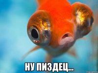  ну пиздец...