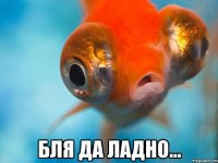  бля да ладно...