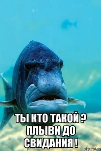  ты кто такой ? плыви до свидания !