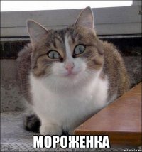  мороженка
