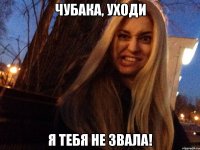 чубака, уходи я тебя не звала!
