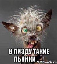  в пизду такие пьянки ....!