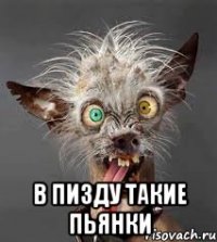  в пизду такие пьянки