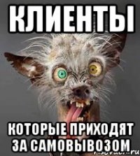 клиенты которые приходят за самовывозом