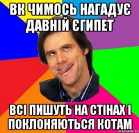 Вк чимось нагадує давній Єгипет Всі пишуть на стінах і поклоняються котам