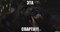 Эта СПАРТА!!!