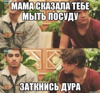 Мама сказала тебе мыть посуду Заткнись дура