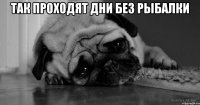 Так проходят дни без рыбалки 