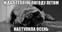 ждал теплую погоду летом наступила осень