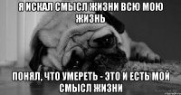 я искал смысл жизни всю мою жизнь понял, что умереть - это и есть мой смысл жизни