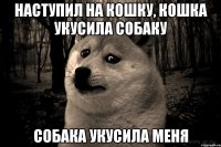 наступил на кошку, кошка укусила собаку собака укусила меня
