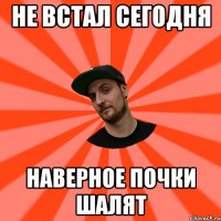 не встал сегодня наверное почки шалят